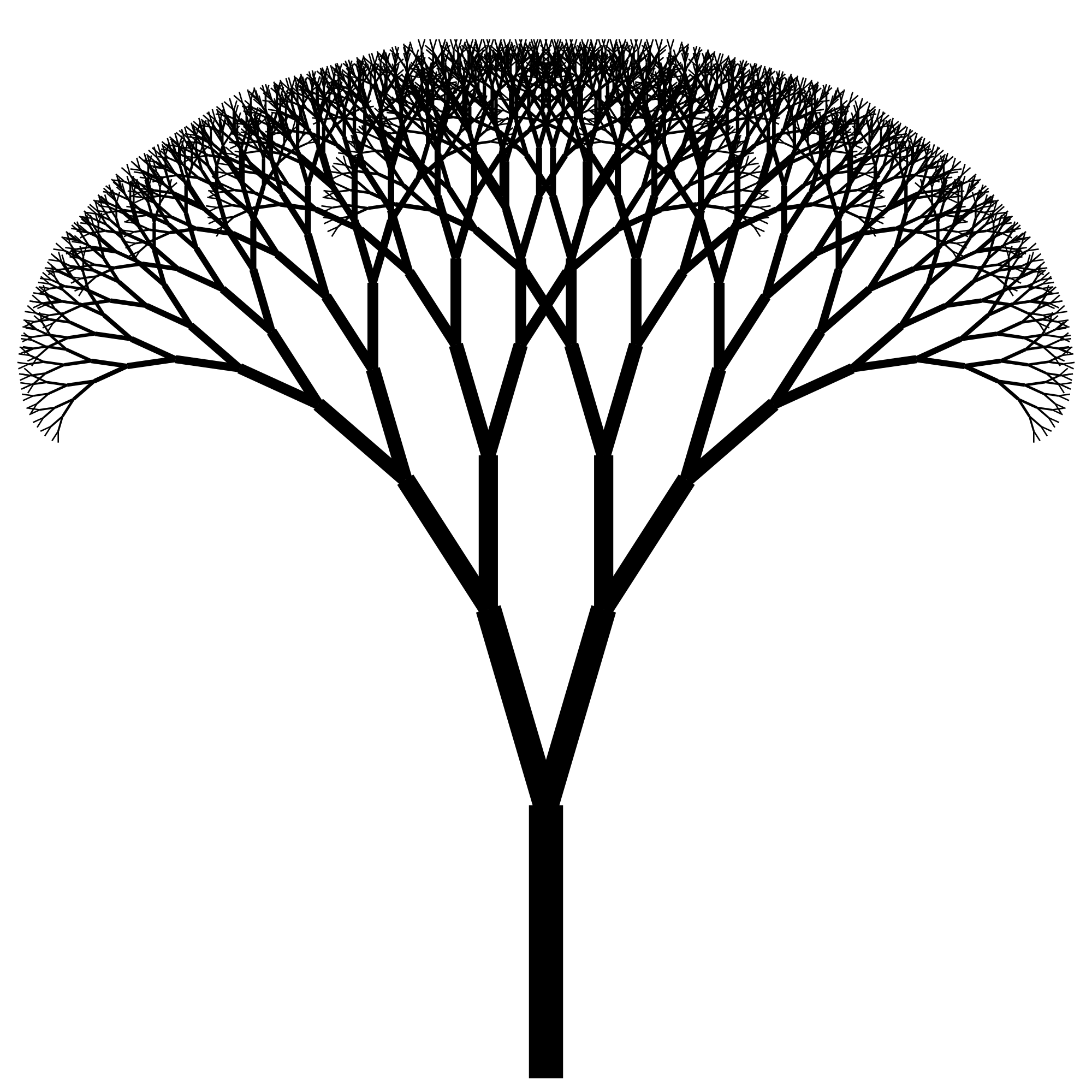 A fractal tree, made of the same forking branch pattern repeating at every scale, from trunk to twig